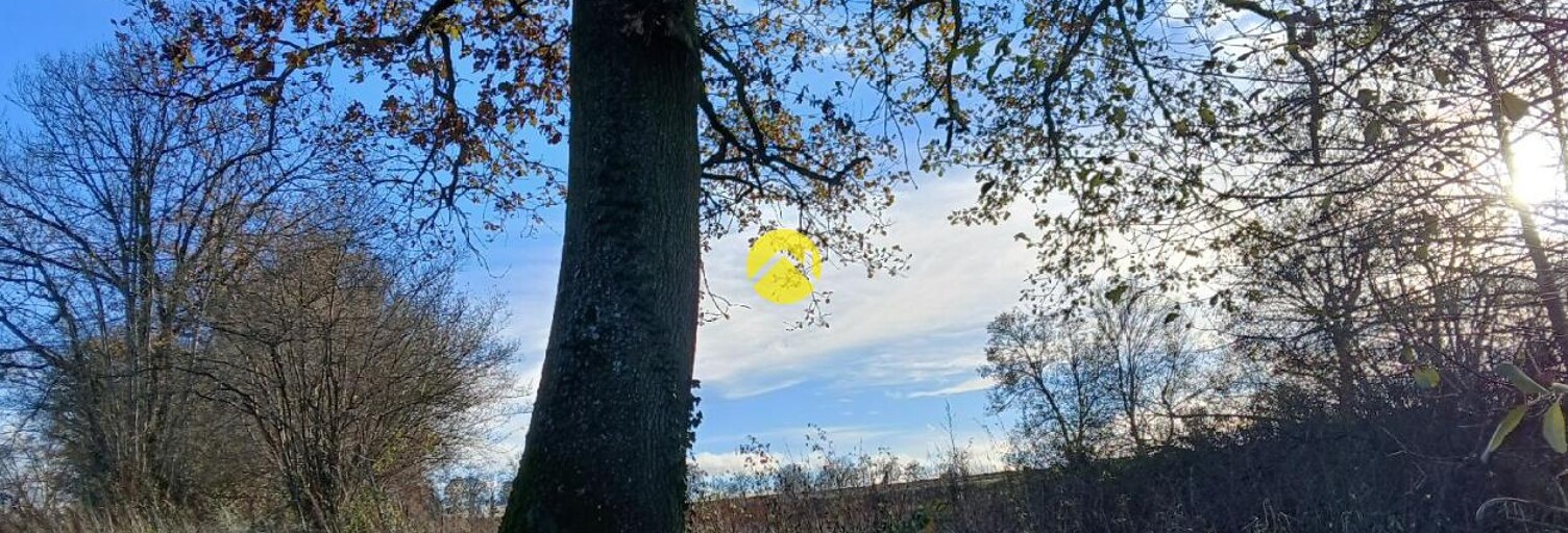 Maison 1 Pièce  m² à vendre à Arpheuilles-Saint-Priest (03420)