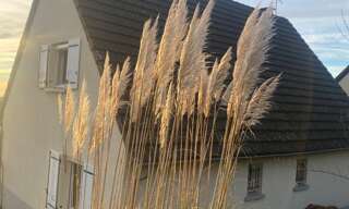 Maison 5 Pièces 120 m² à vendre à Montsalvy (15120)