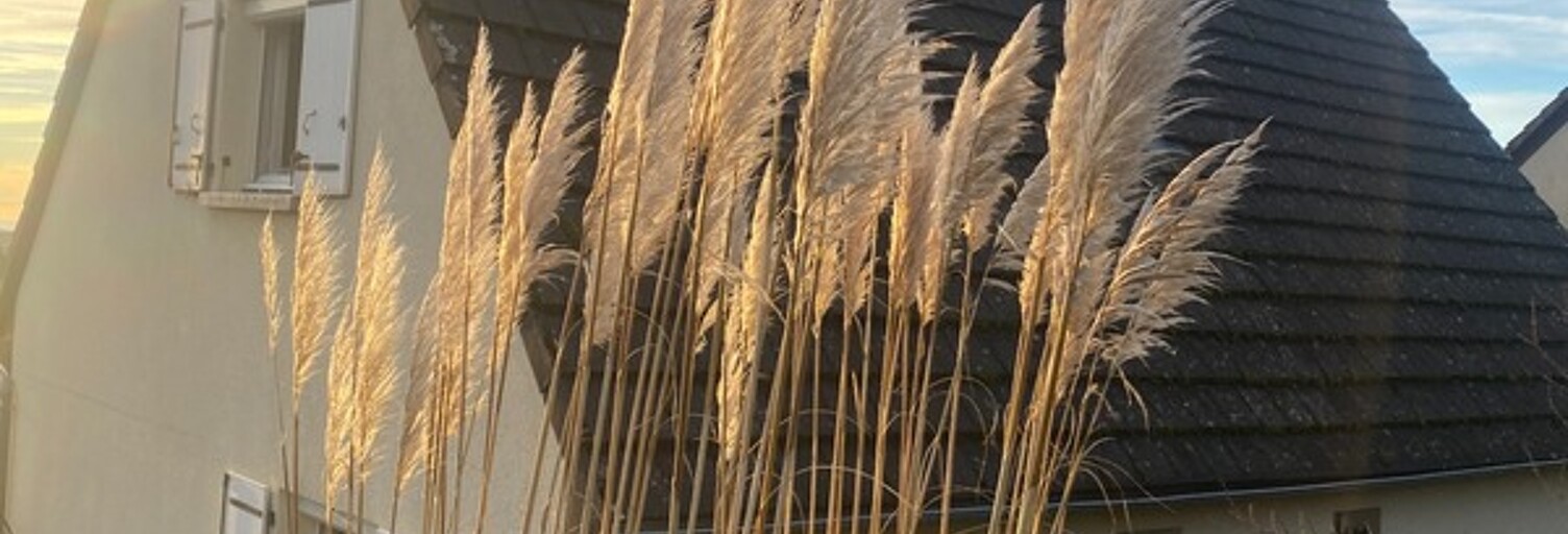 Maison 5 Pièces 120 m² à vendre à Montsalvy (15120)