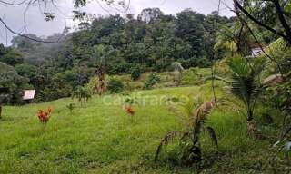 Terrain  11198 m² à vendre à Matoury (97351)