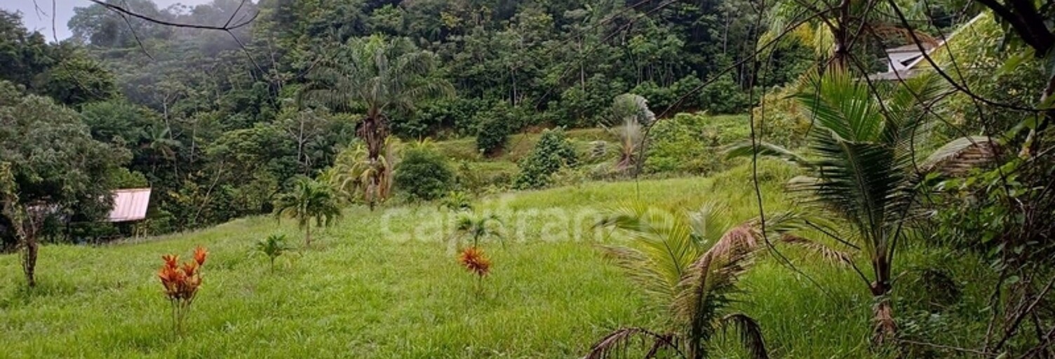 Terrain  11198 m² à vendre à Matoury (97351)