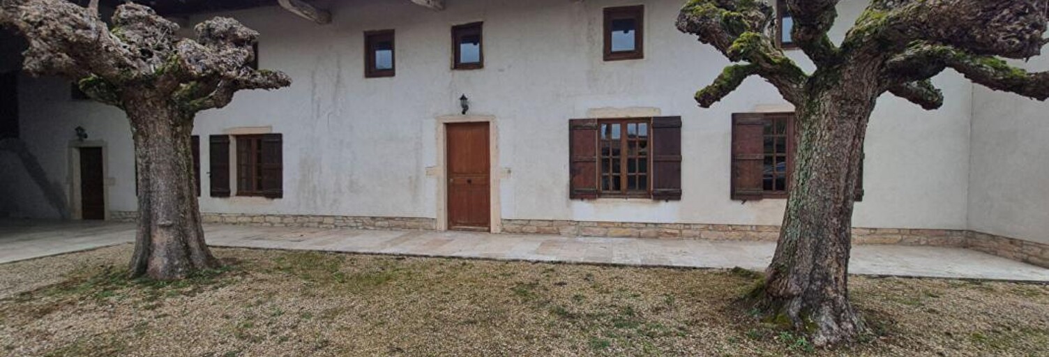 Maison 14 Pièces 445 m² à vendre à Grièges (01290)