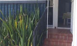 Appartement 1 Pièce 30 m² à louer à Le Gosier (97190)