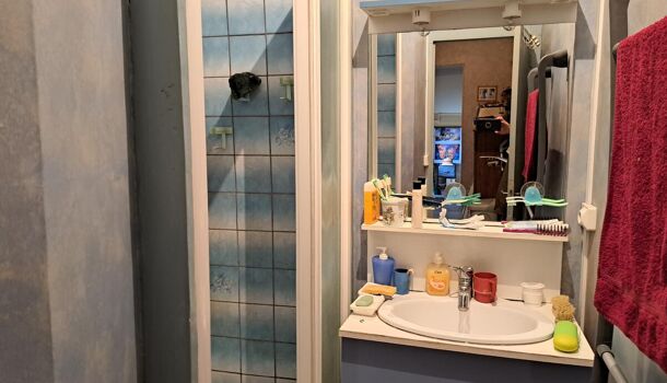 Villa / Maison 7 pièces  à vendre Mehun-sur-Yèvre 18500