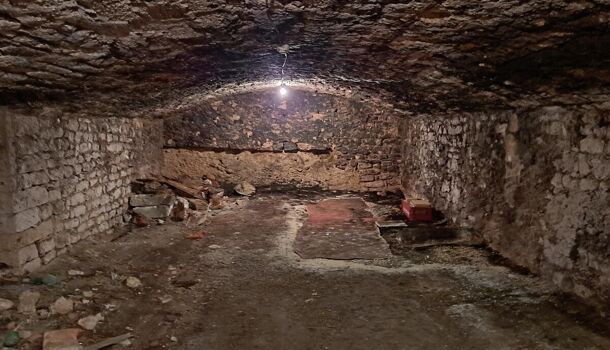 Villa / Maison 7 pièces  à vendre Mehun-sur-Yèvre 18500