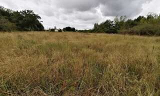 property.type.service   m² à vendre à Saint-Benoît-sur-Loire (45730)