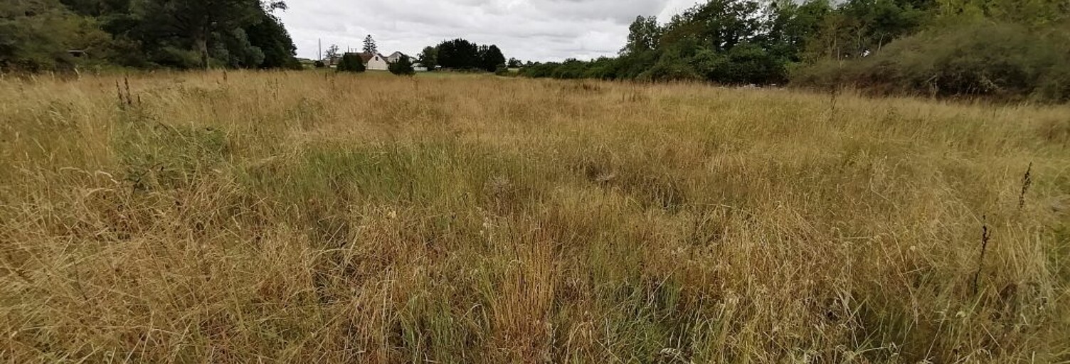 property.type.service   m² à vendre à Saint-Benoît-sur-Loire (45730)