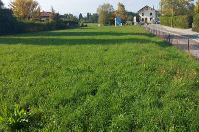 Terrain  245000 €