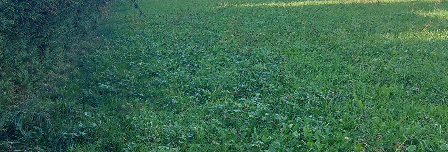 Terrain  245 m² à vendre à Juvigny (74100)