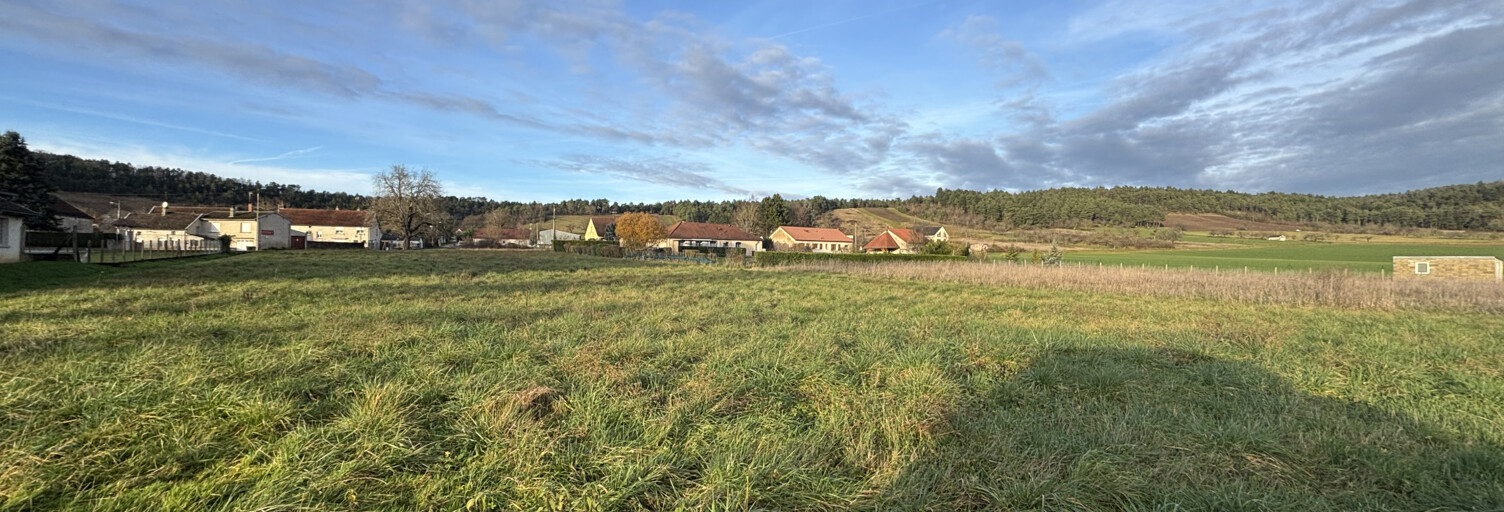 Terrain  14638 m² à vendre à Poinçon-lès-Larrey (21330)