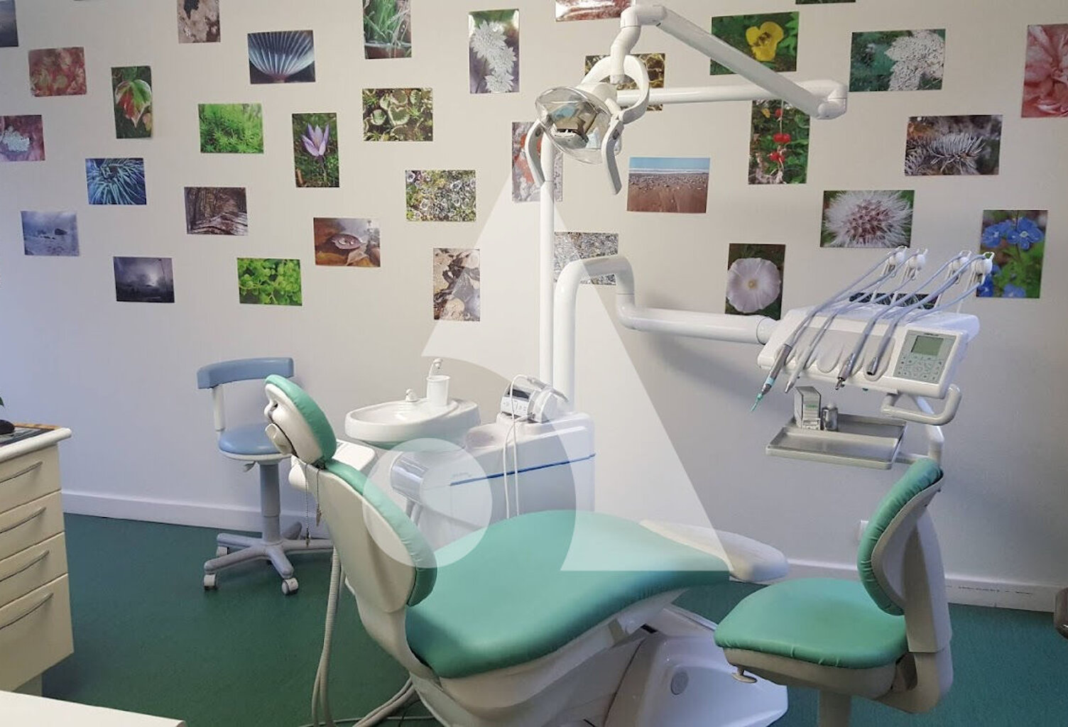 Local  Professionnel équipé (dentistes) Tarbes 5 pièces 130 m² — photo 1