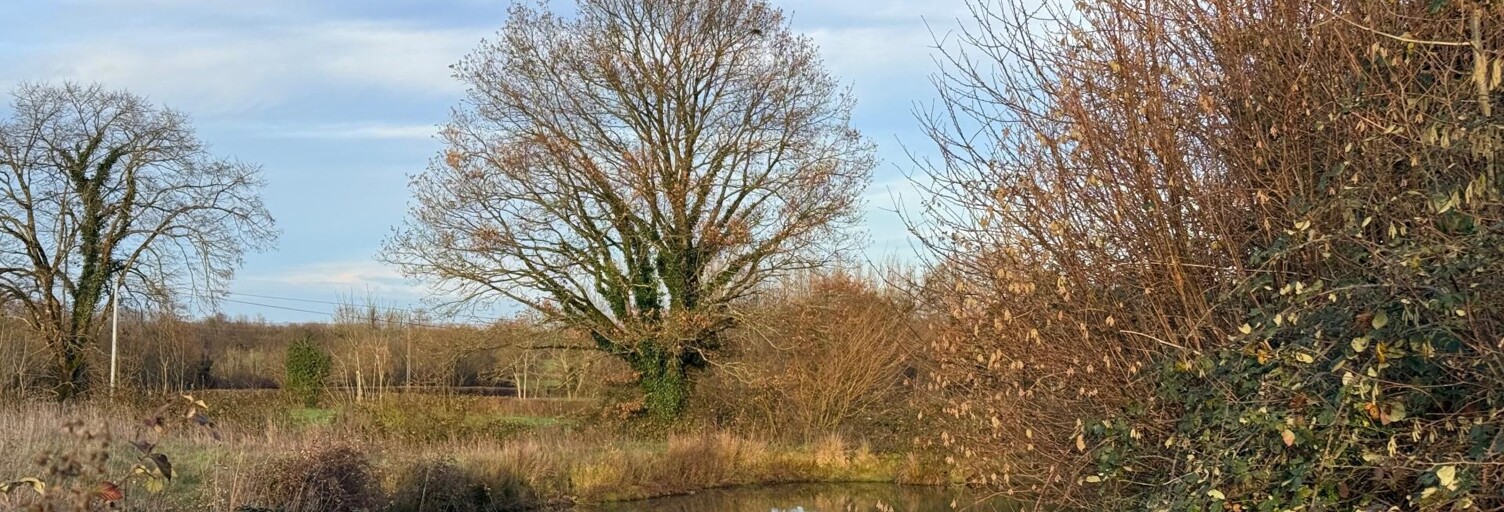 Terrain  6045 m² à vendre à Moncoutant (79320)