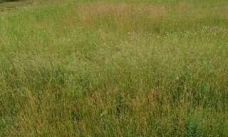 Terrain  1256 m² à vendre à Pisany (17600)