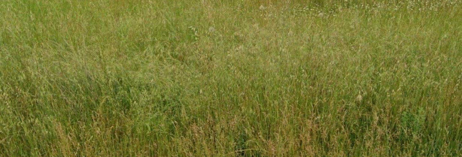 Terrain  1256 m² à vendre à Pisany (17600)