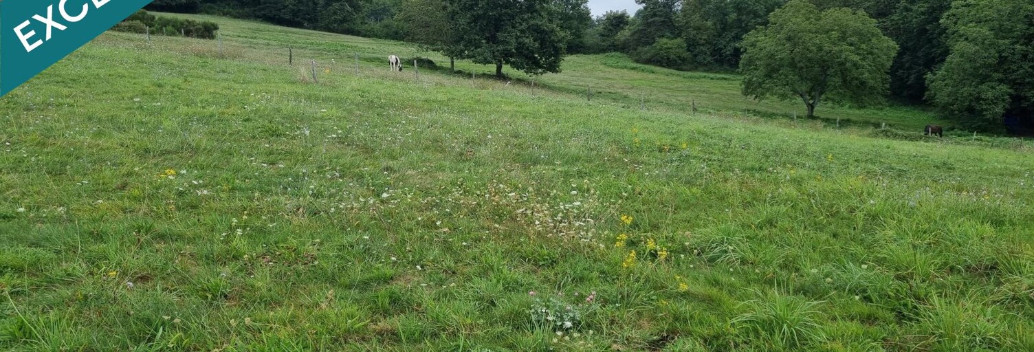 Terrain  1568 m² à vendre à Busset (03270)