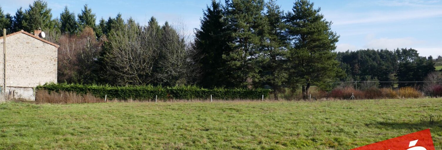 Terrain  1205 m² à vendre à Saint-Pal-de-Mons (43620)