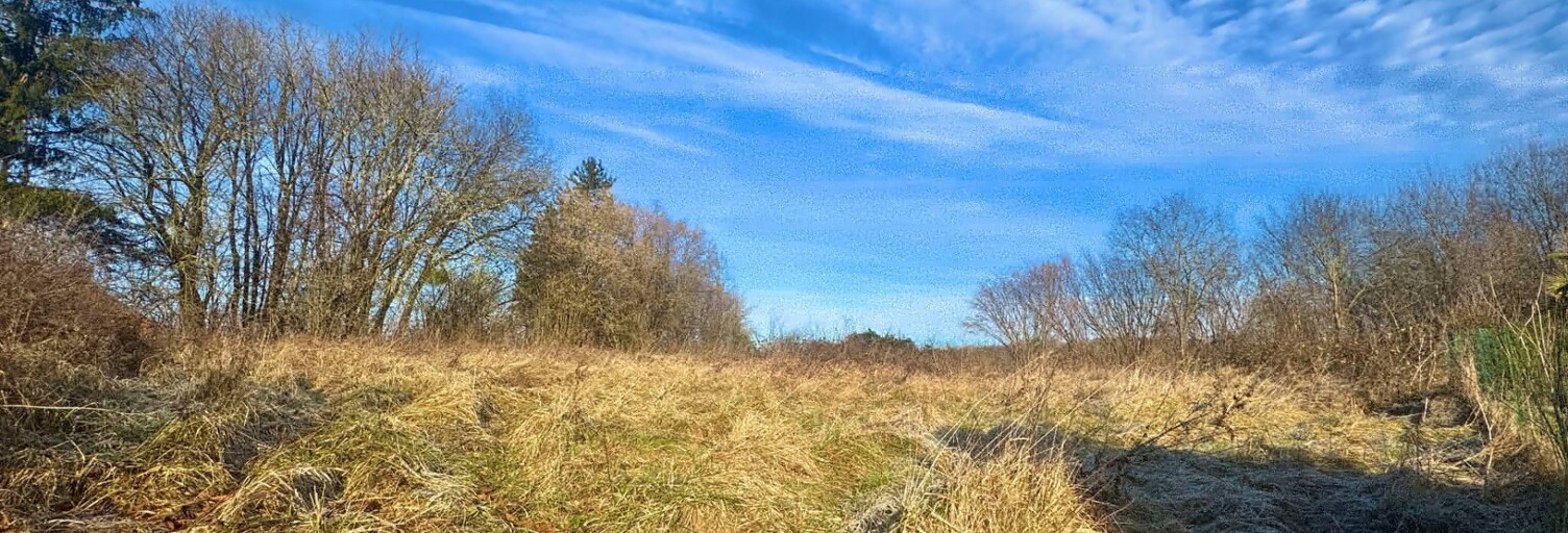 Terrain  1289 m² à vendre à Sachy (08110)