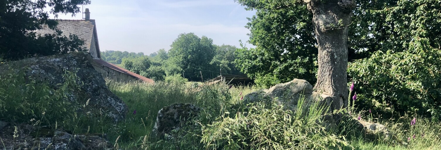 Maison 4 Pièces 90 m² à vendre à Lassay-les-Châteaux (53110)