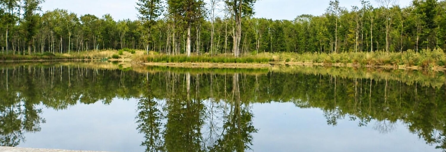 Terrain  200000 m² à vendre à Colomiers (31770)