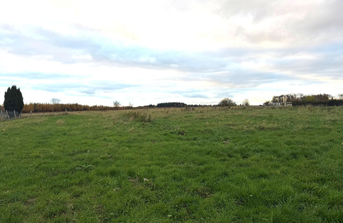 MONTVILLE — photo 3