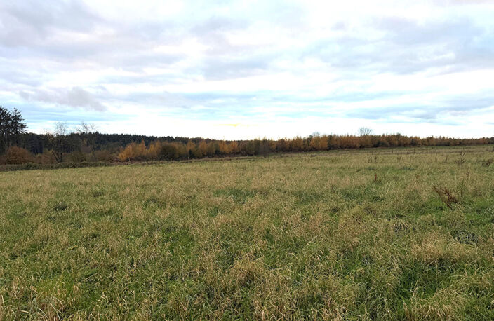 MONTVILLE — photo 4