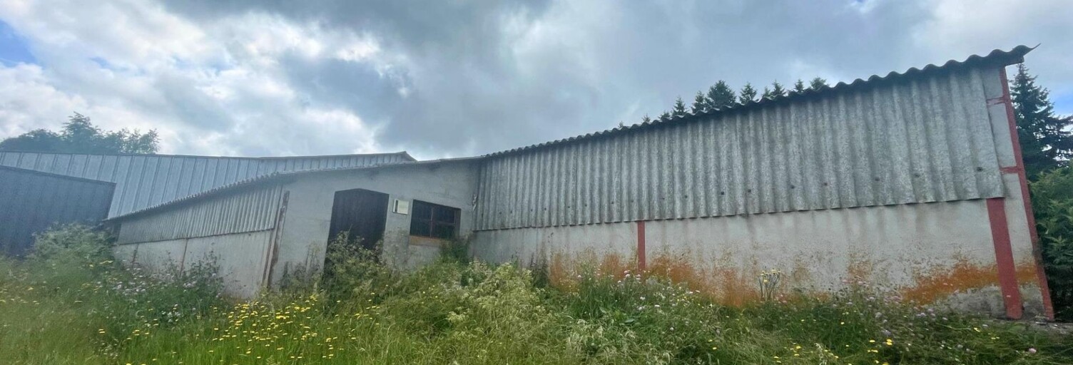 Commerce 1 Pièce 593 m² à vendre à Saulzet-le-Froid (63970)