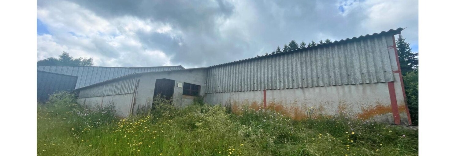 Commerce 1 Pièce 593 m² à vendre à Saulzet-le-Froid (63970)