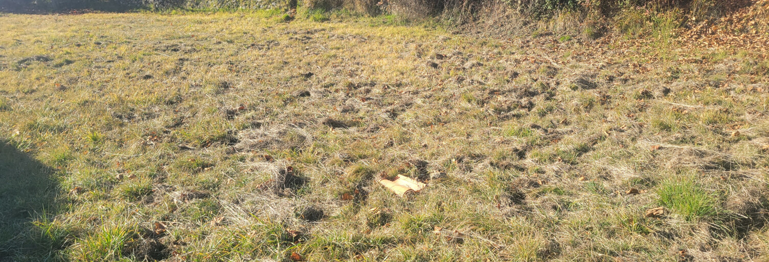 Terrain  1967 m² à vendre à Toudon (06830)