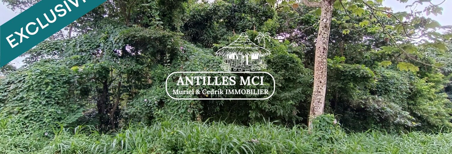 Terrain  1632 m² à vendre à Rivière-Salée (97215)