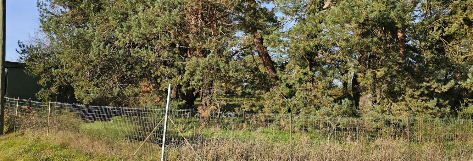 Terrain  4600 m² à vendre à Vieilles-Maisons-sur-Joudry (45260)