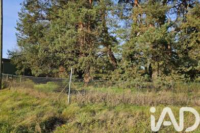 Terrain  56000 €