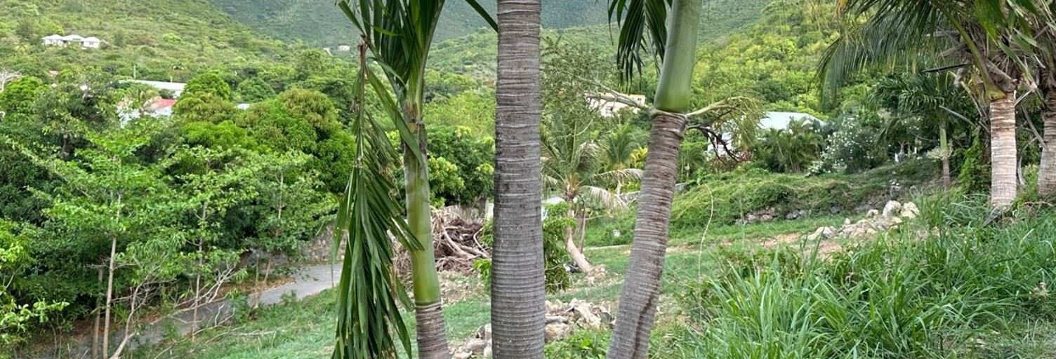 Terrain  2000 m² à vendre à Saint-Martin (65360)