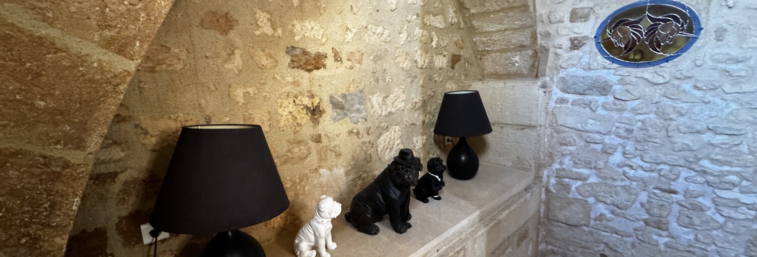 Maison 9 Pièces 271 m² à vendre à Pons (17800)