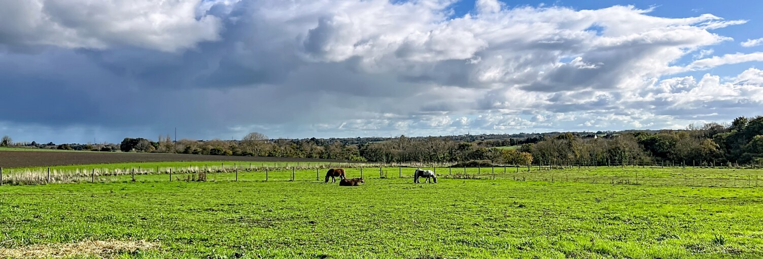 Maison 7 Pièces 145 m² à vendre à Trégomeur (22590)