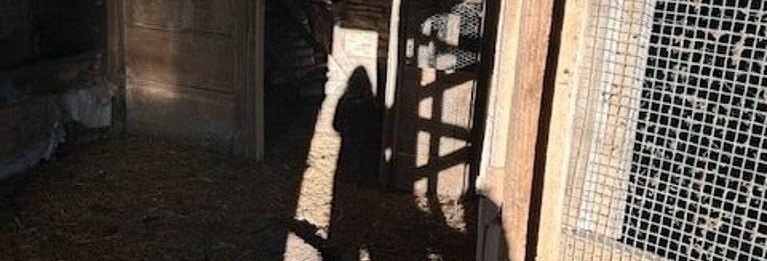 Maison 4 Pièces 128 m² à vendre à Saint-Coutant (79120)