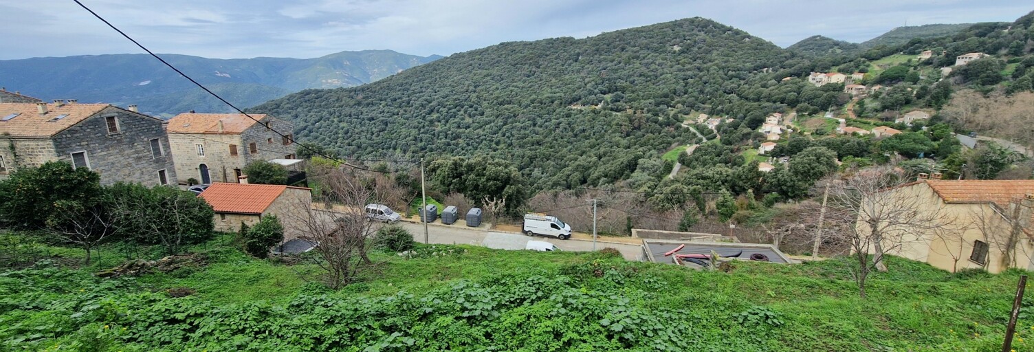 Terrain  750 m² à vendre à Sollacaro (20140)