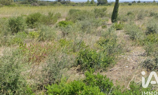 Terrain  3510 m² à vendre à La Palme (11480)