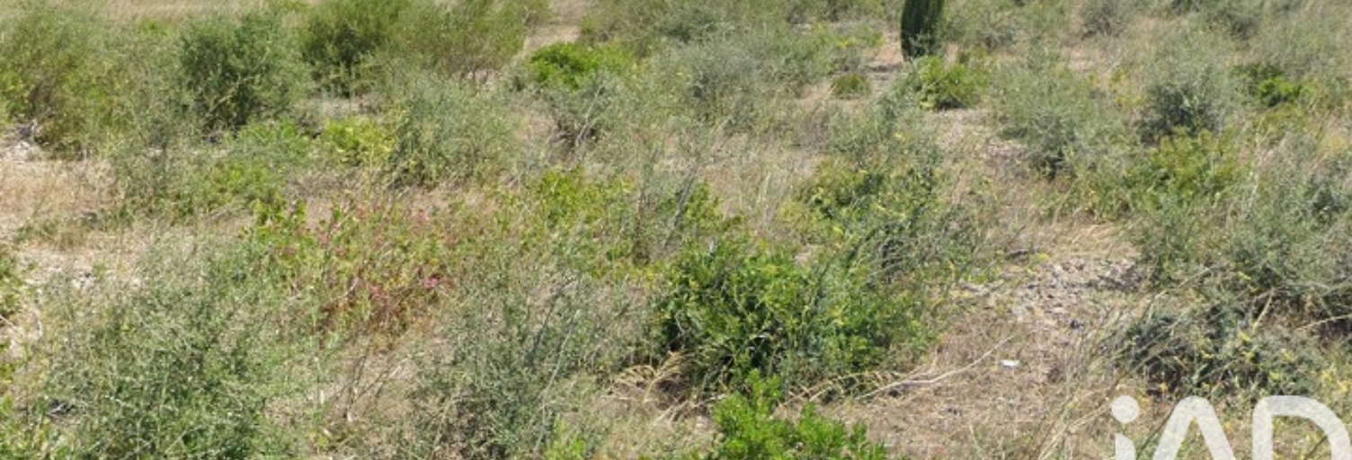 Terrain  3510 m² à vendre à La Palme (11480)