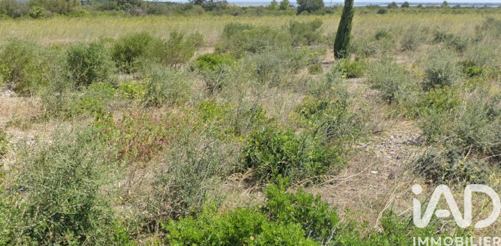La-Palme - 3510m²