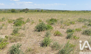 Terrain  2940 m² à vendre à La Palme (11480)