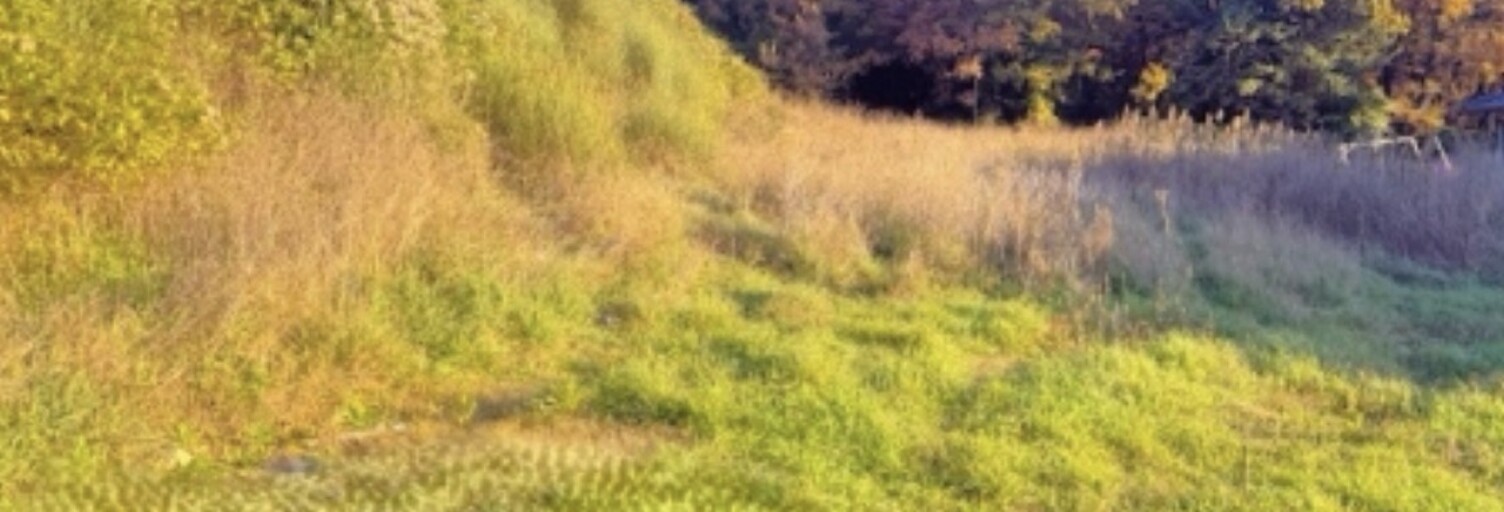 Terrain  770 m² à vendre à Saint-Marcel-lès-Sauzet (26740)