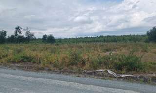 Terrain  625 m² à vendre à Le Teich (33470)