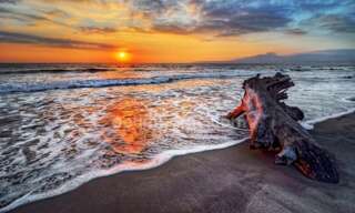 Maison 4 Pièces 70 m² à vendre à Rivedoux-Plage (17940)