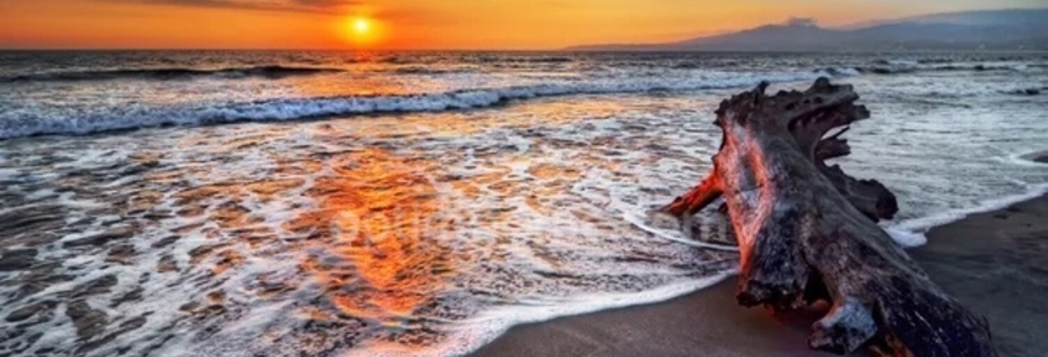 Maison 4 Pièces 70 m² à vendre à Rivedoux-Plage (17940)