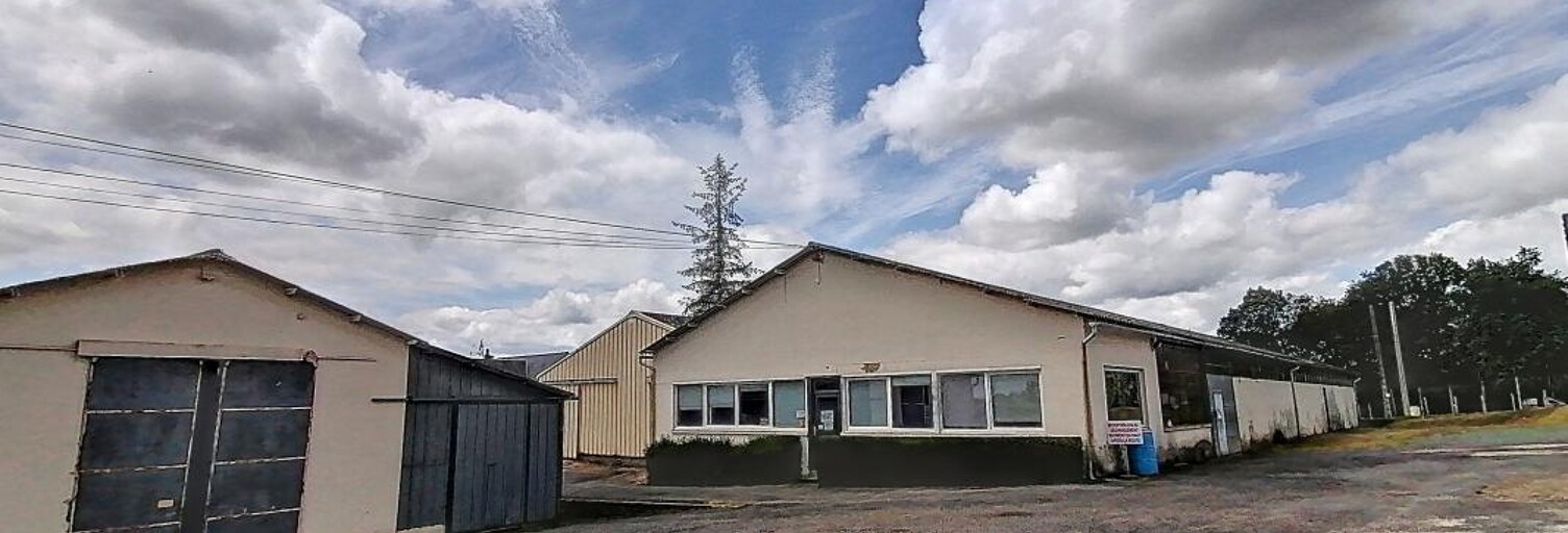 Local industriel  680 m² à vendre à Neuville-sur-Brenne (37110)
