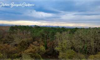 Maison 10 Pièces 300 m² à vendre à Saint-Martin-de-Hinx (40390)