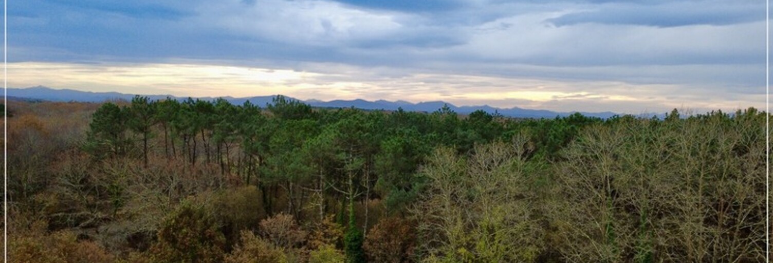 Maison 10 Pièces 300 m² à vendre à Saint-Martin-de-Hinx (40390)