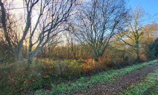 Terrain  62680 m² à vendre à Telgruc-sur-Mer (29560)