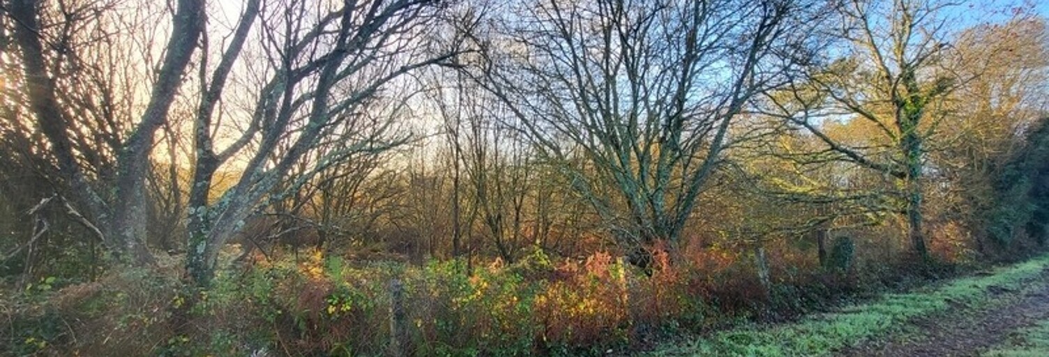 Terrain  62680 m² à vendre à Telgruc-sur-Mer (29560)