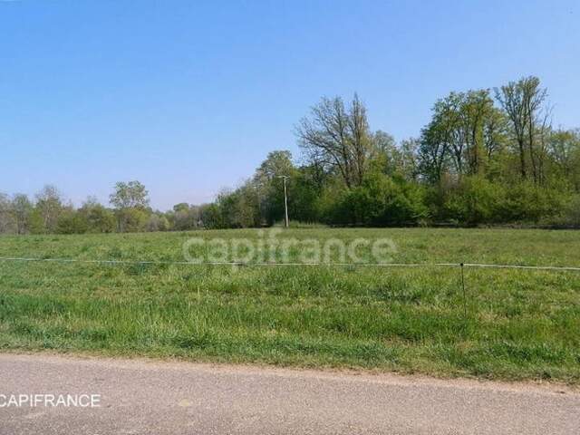 Dpt Saône et Loire (71), à vendre BOSJEAN terrain - Terrain de 3 684,00 m² — photo du bien